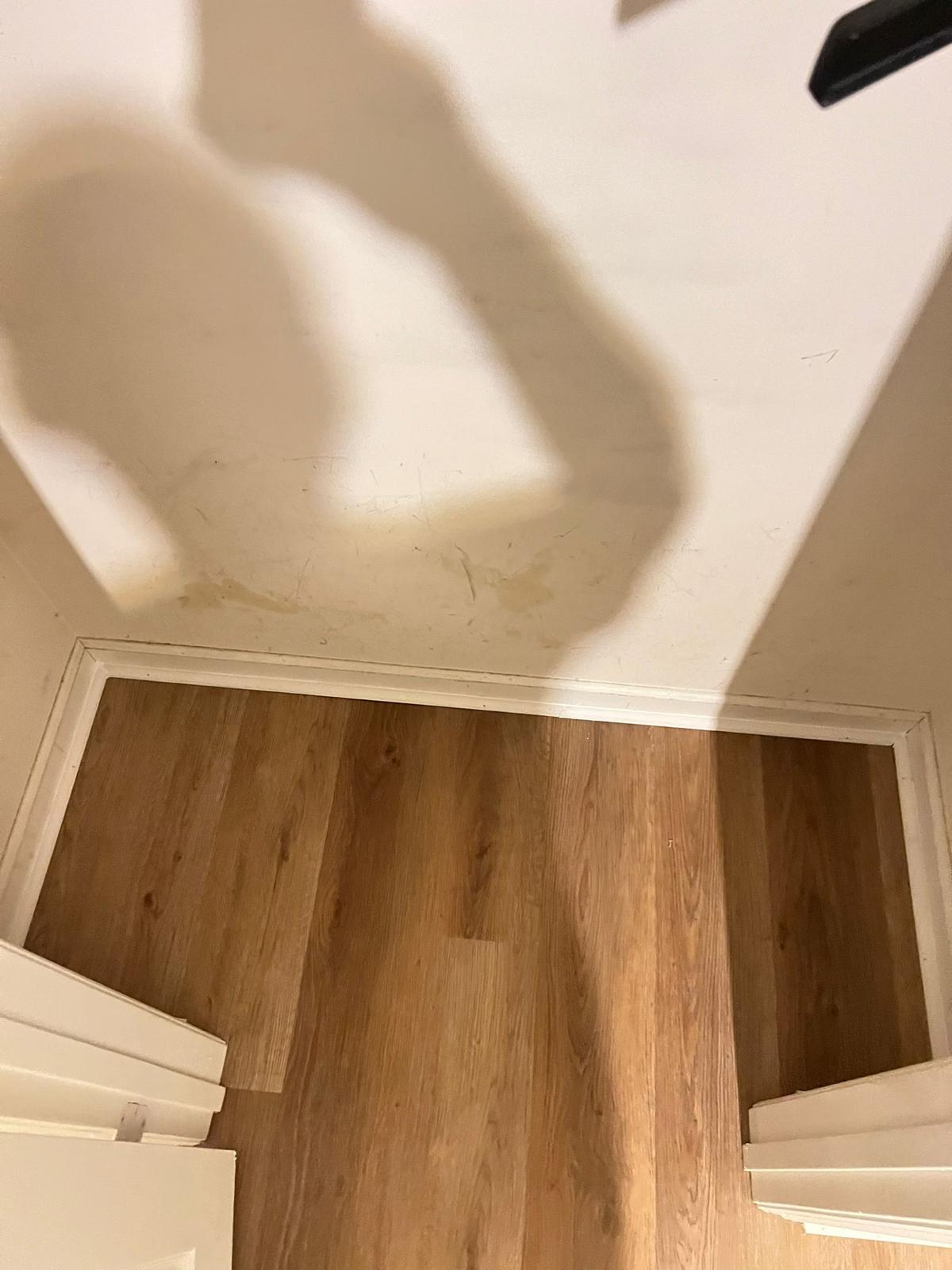 LVP vinyl installed in a passageway and closet